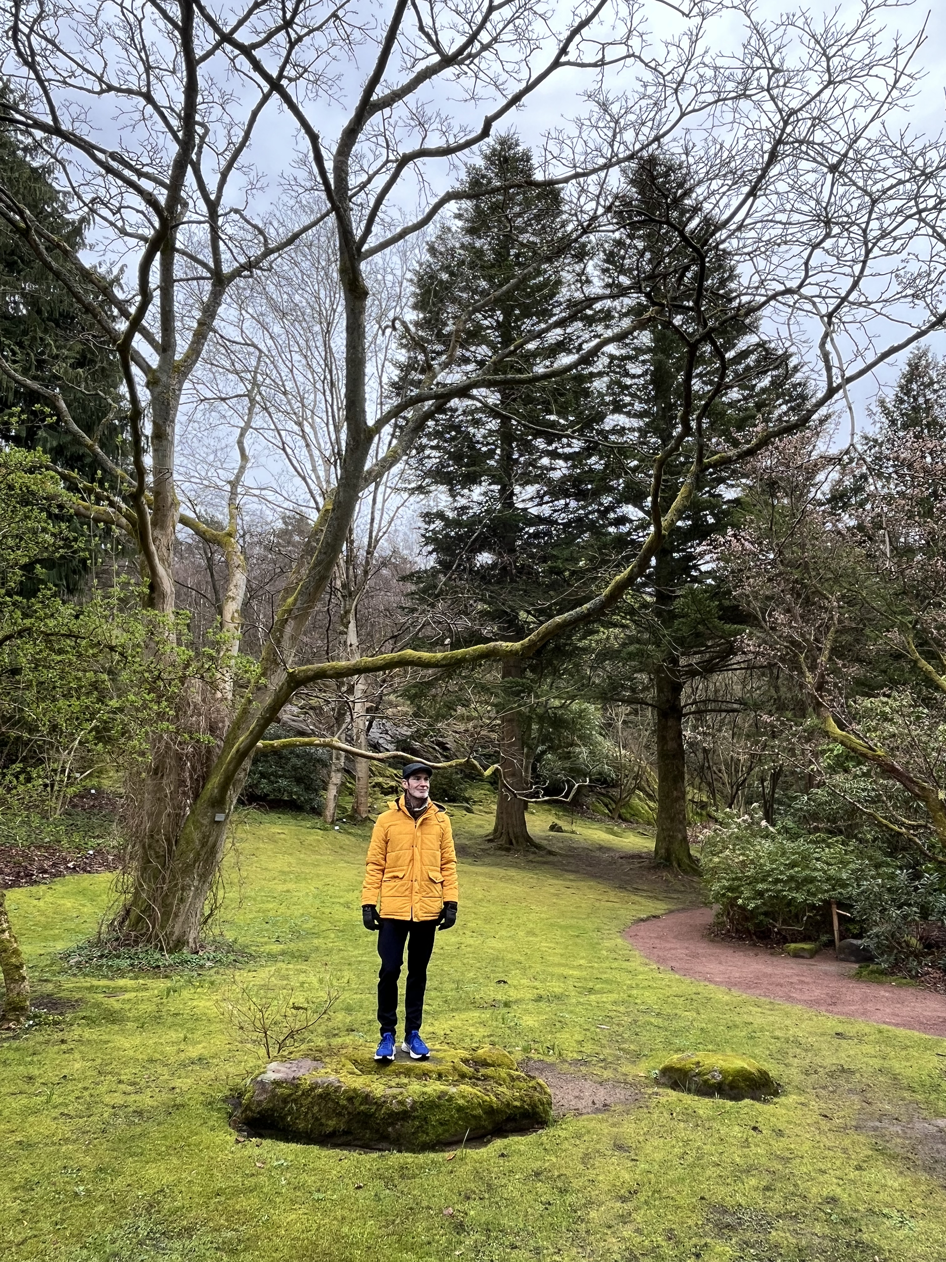 Joe amongst trees and moss in the forest in Göteborg, Sweden.